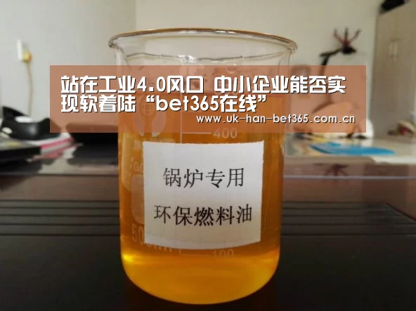 站在工业4.0风口 中小企业能否实现软着陆“bet365在线”(图3) bet365入口