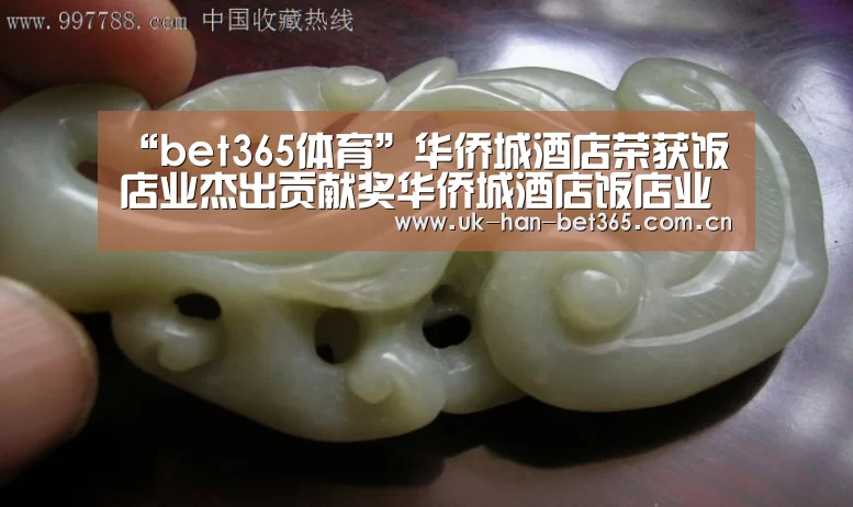 “bet365体育”华侨城酒店荣获饭店业杰出贡献奖华侨城酒店饭店业服务水准国际饭店(图1) bet365官方网站